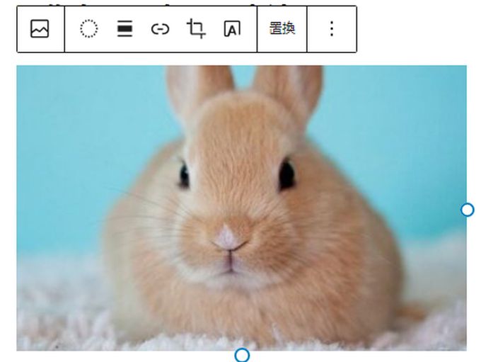 WordPressで挿入した画像の切り抜き機能を利用して実際に切り抜いた画像