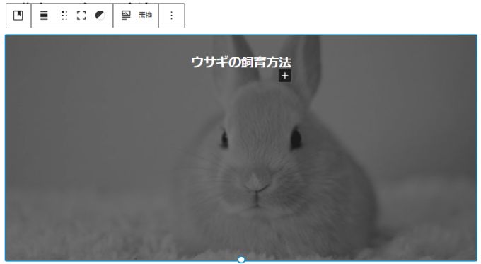 WordPressで挿入した画像にデュオトーンフィルターを適用した実際の画像