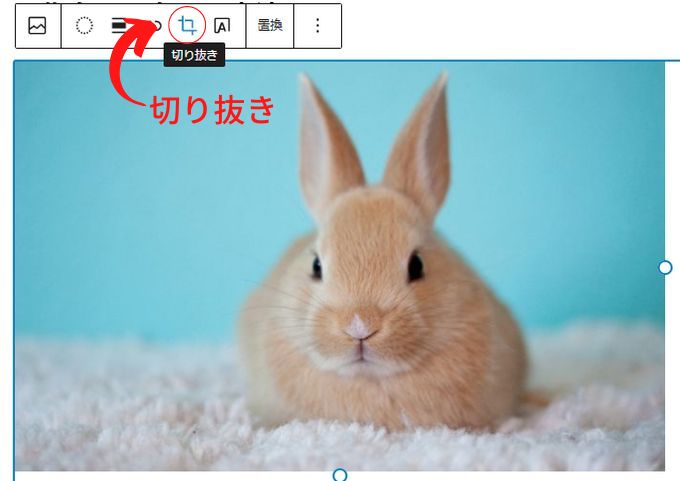 WordPressで挿入した画像の切り抜き機能を選択する画面