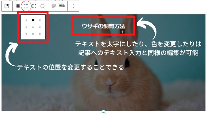 WordPressで挿入した画像にテキストを追加した際に、そのテキストの配置を変更する画面