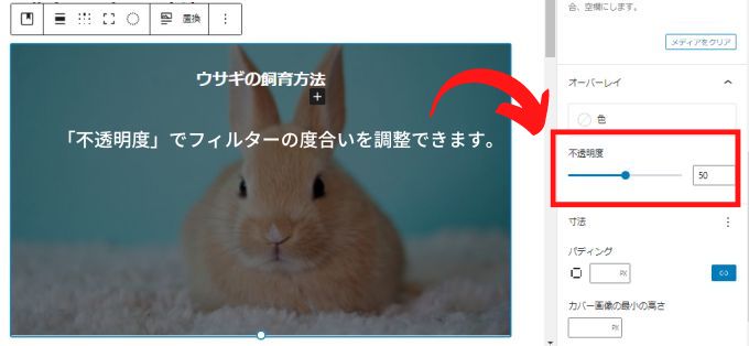 WordPressで挿入した画像にテキスト入力時に画像の不透明度を調整する画面