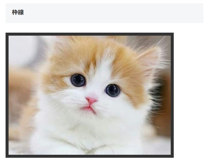 Cocoon（コクーン）で枠線を設定した画像