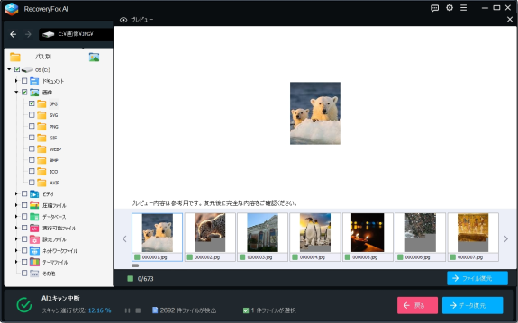 RecoveryFox AI:プレビュー画面