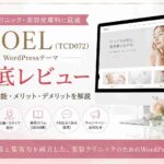 NOEL（TCD072）徹底レビュー｜美容クリニック・美容皮膚科におすすめのWordPressテーマ